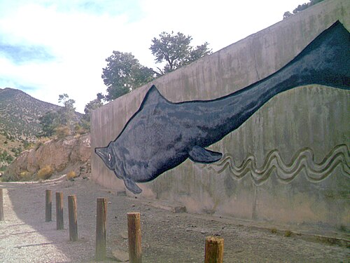 Ichthyosaur, Nevada state fossil